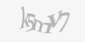 Қорғаныс коды